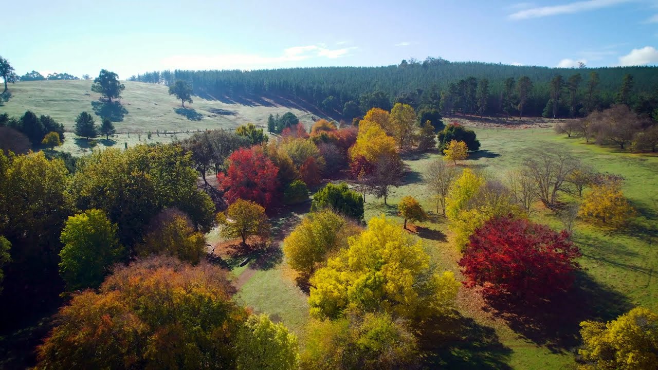 Our State On A Plate - Our Southern Forests & Valleys: Shire of Donnybrook Balingup