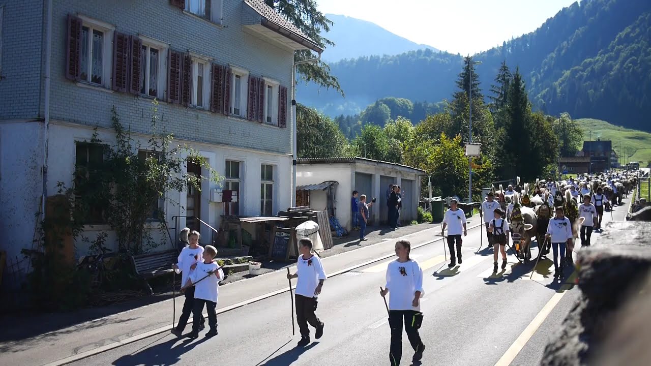 Alpabfahrt Wägital SZ 2024 - Aberen-Oberalp