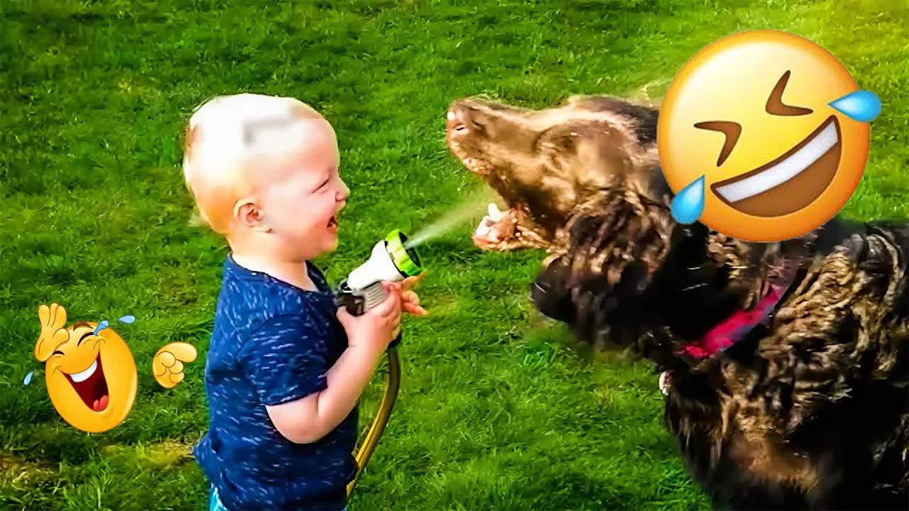 New Funny Animals 🍄 Funniest Cats and Dogs 2026 🤣 🌿 #funnycats #funnydogs #animals