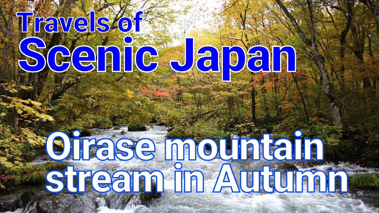 【499】Oirase Mountain Stream in Autumn / Travels of Scenic Japan / Tabiator