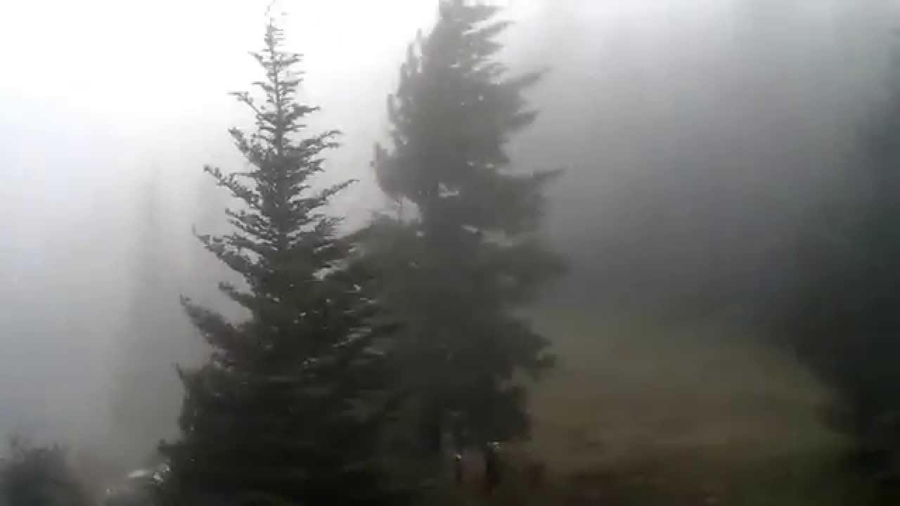 Mtn Lyn Lowry Storm