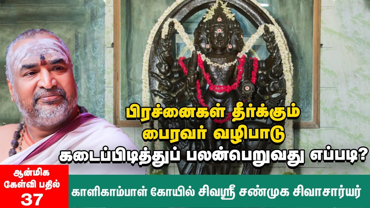 பைரவர் வழிபாடு | வீட்டில் வளர்க்கும் நாயை பைரவர் என்று அழைக்கலாமா? | சிவஶ்ரீ சண்முக சிவாசார்யர்