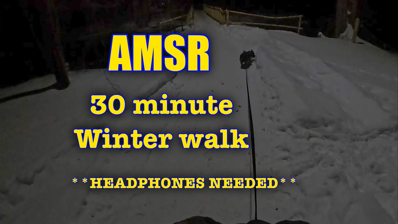 AMSR WINTER WALK #amsr #relaxation