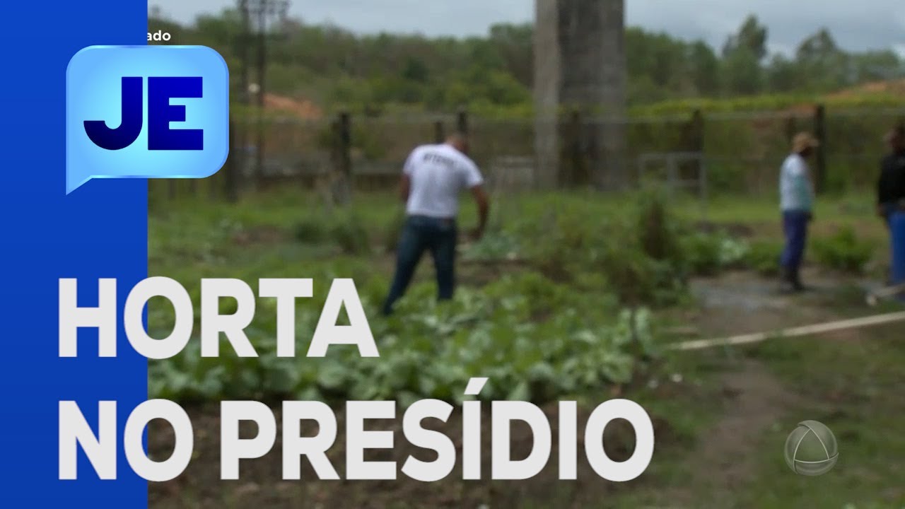 Internos do presídio de São Cristóvão fazem horta orgânica para instituições  - Jornal do Estado