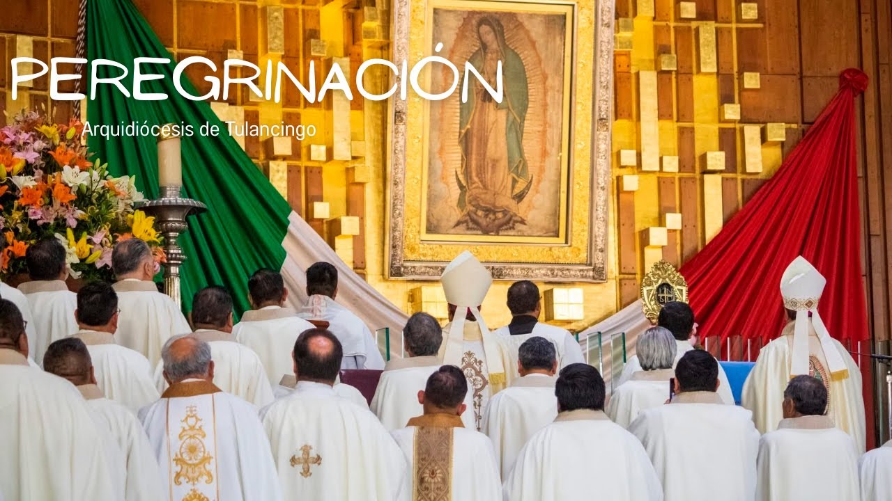 ▶️ | #LDLElColor Peregrinos de la Arquidiócesis de Tulancingo llegan hasta el Tepeyac