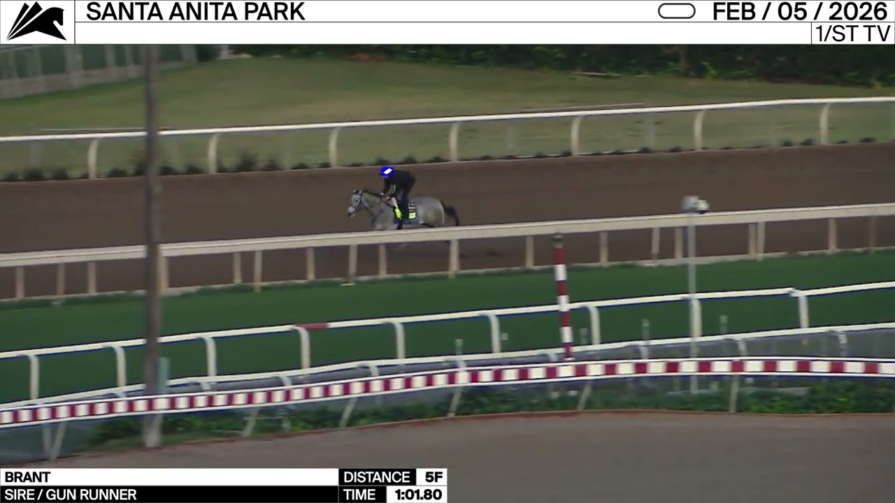 Work of the Day at Santa Anita Park: Brant worked 5 Furlongs in 1:01.80 on February 5th, 2026