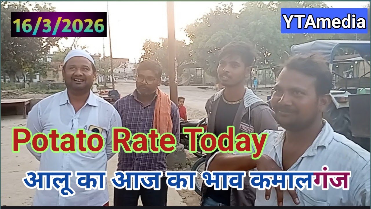 16/3/2026 आलू का आज का भाव | कमालगंज मंडी आज आलू भाव | Today potato rate kamalganj |ytamedia