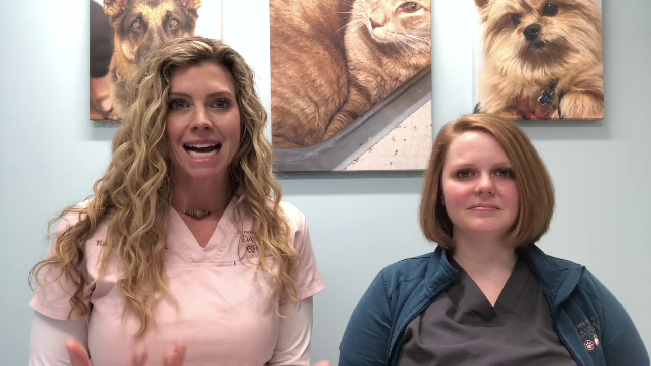 Get better results for your pets and patients!
