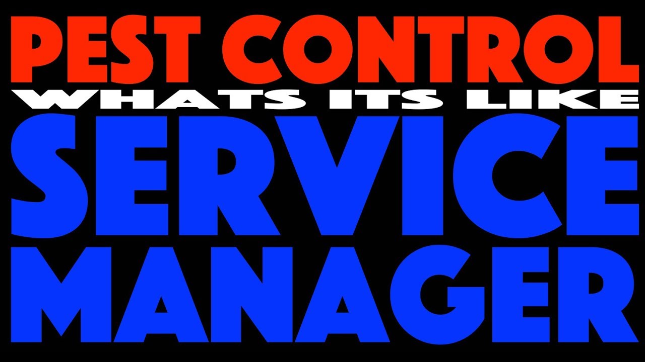 Being a Service Manager in Pest Control