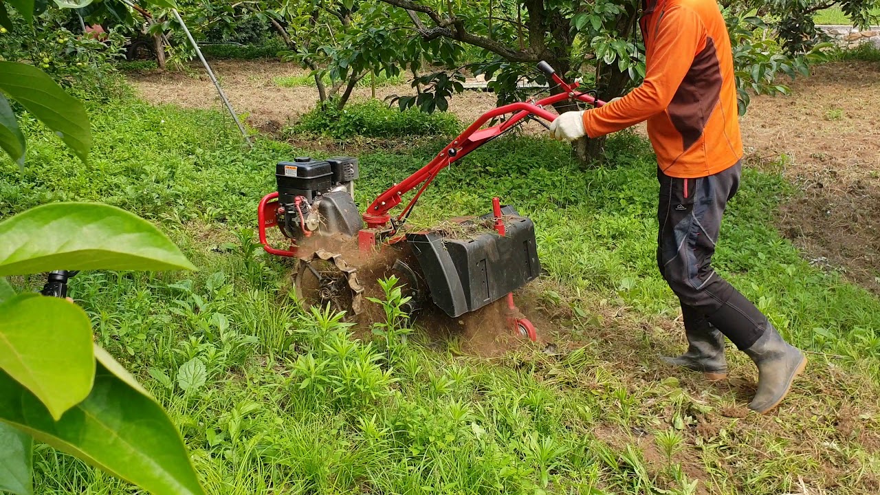 감밭제초작업 .과수원제초기.관리기제초작업. 과수원제초기.abc tiller mower.신형제초기