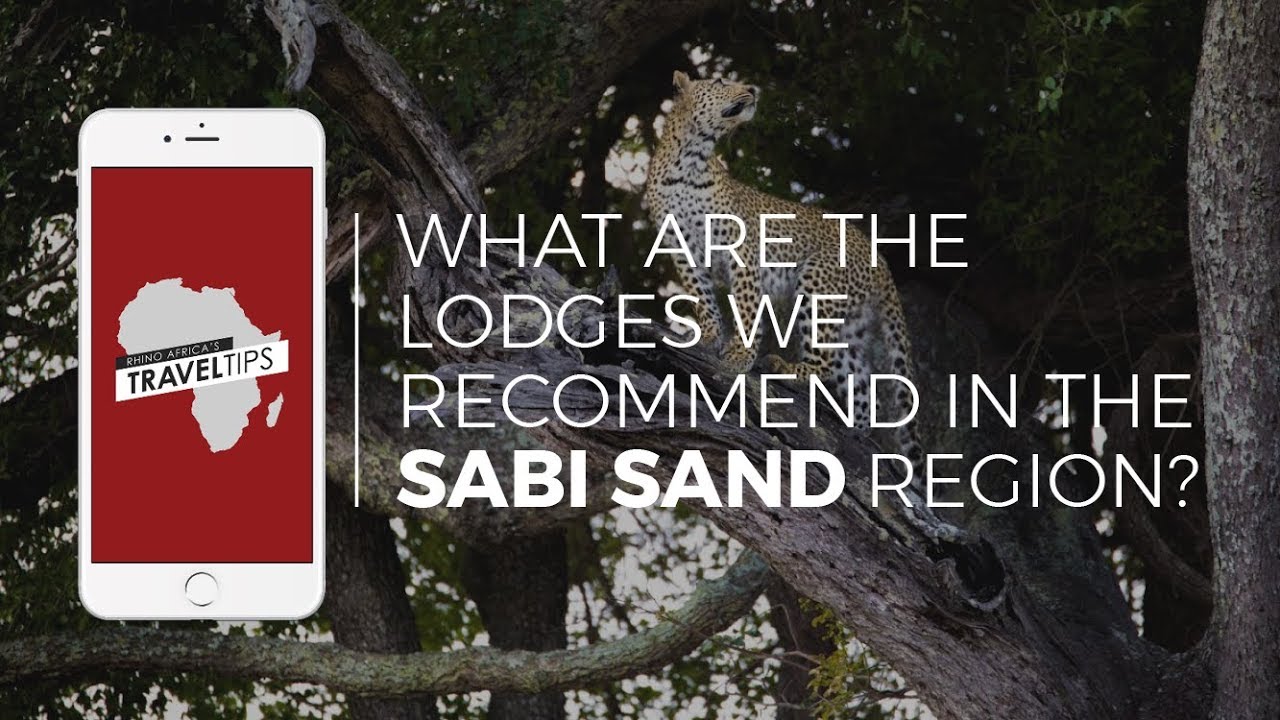 What are the lodges we recommend in the Sabi Sand region? Rhino Africa's Travel Tips