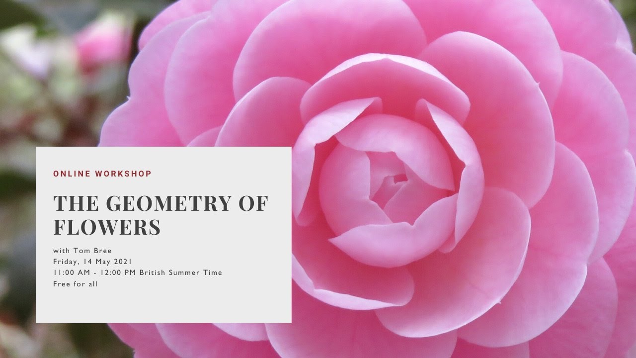 Online Workshop: The Geometry of Flowers