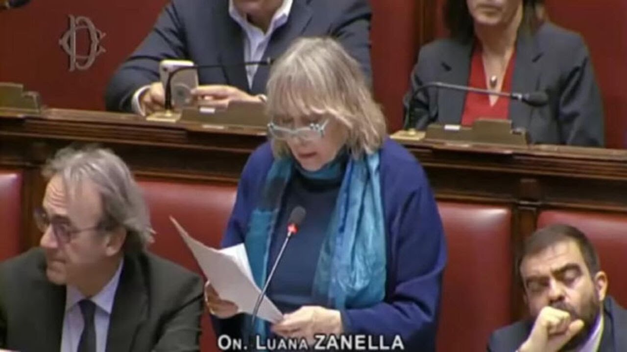 Decreto Ucraina, Zanella (Avs): 