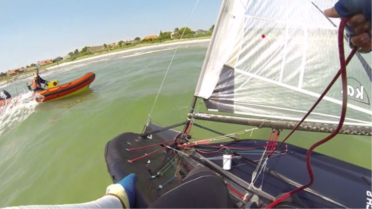 Moth attack on rib thieves