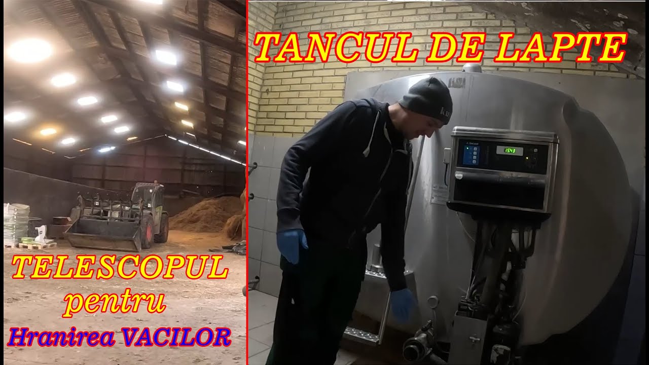 Mergem la ferma sa vedem locul de munca unde lucrez #EP3