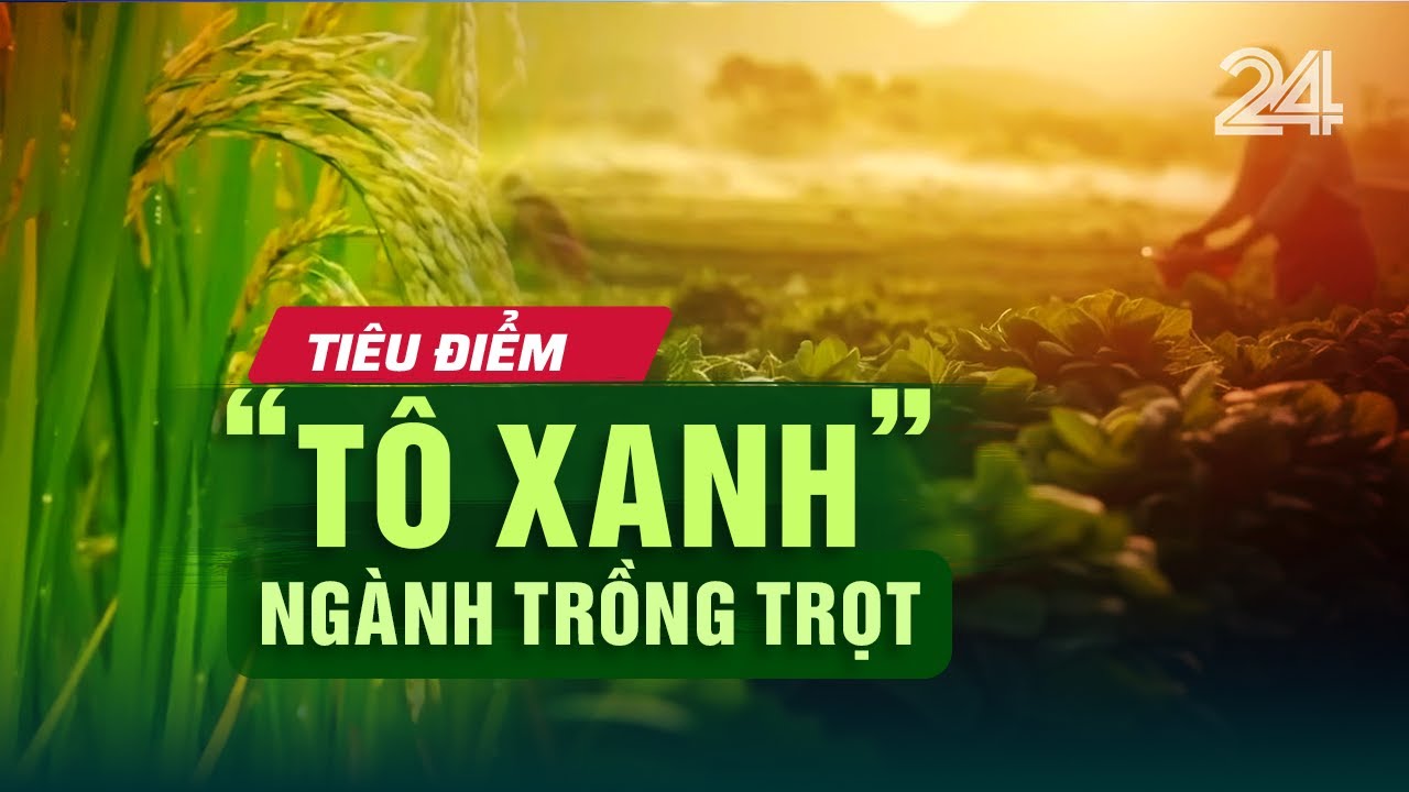 Tiêu điểm: ‘Tô xanh’ ngành trồng trọt | VTV24