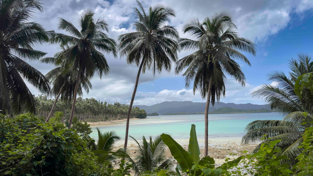 PALAWAN -  PORT BARTON