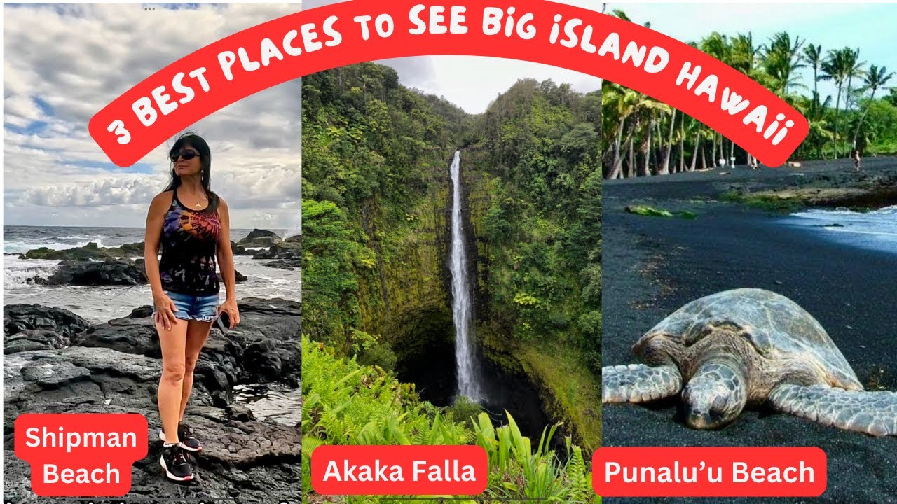 Exploring Hawaii's Hidden Gems | Punaluu | Akaka Falls Shipman Beach