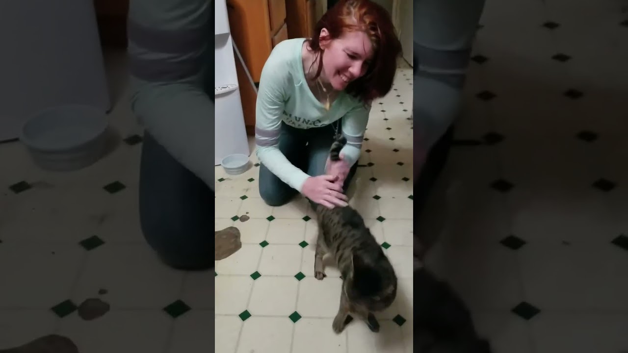 Masochistic Kitty likes to play tag