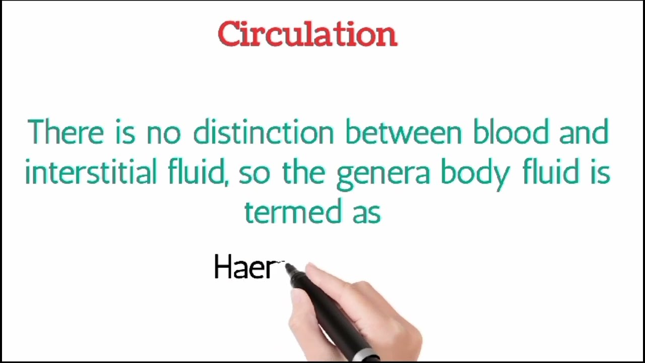 MDCAT Circulation Essentials | Key Points to Remember