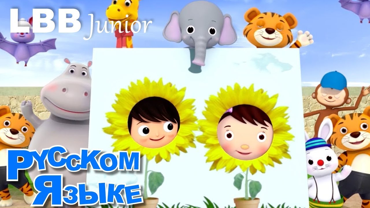 Песня про необычных животных | Оригинальные песни | LBB Юниор
