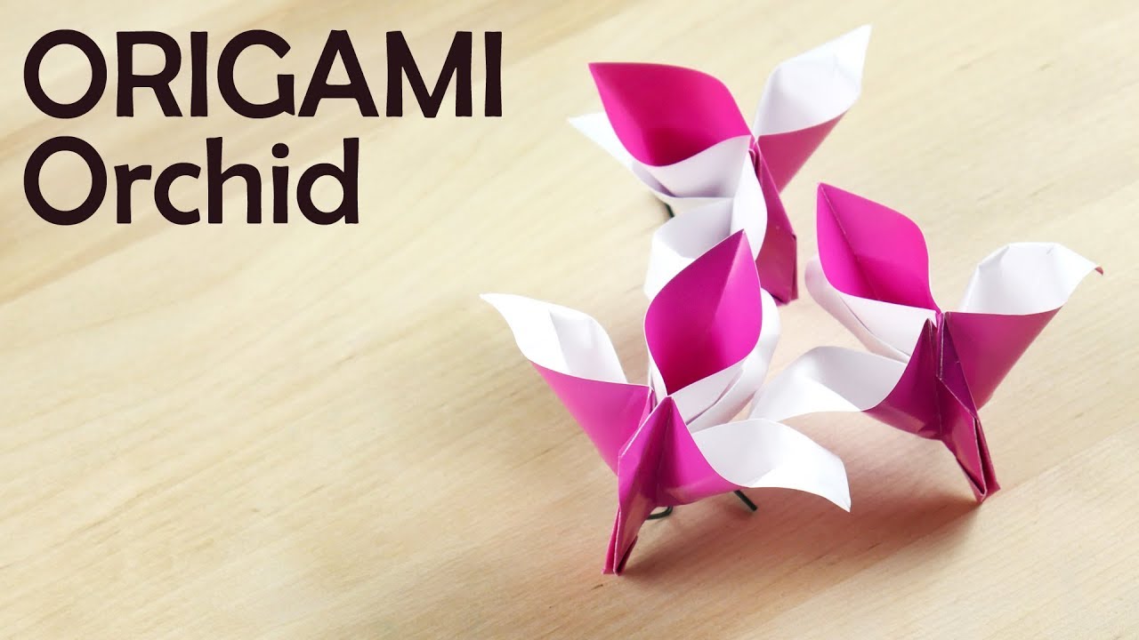 Origami Orchid: Easy instructions for beginner.