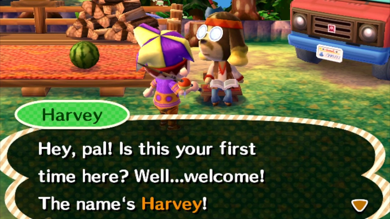 A Year of Animal Crossing New Leaf Afternoon 2