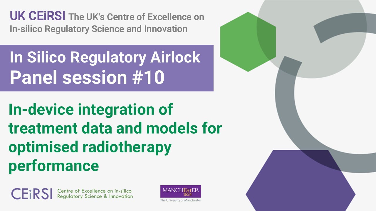 UK CEiRSI Airlock Panel: In Silico Models in Radiotherapy