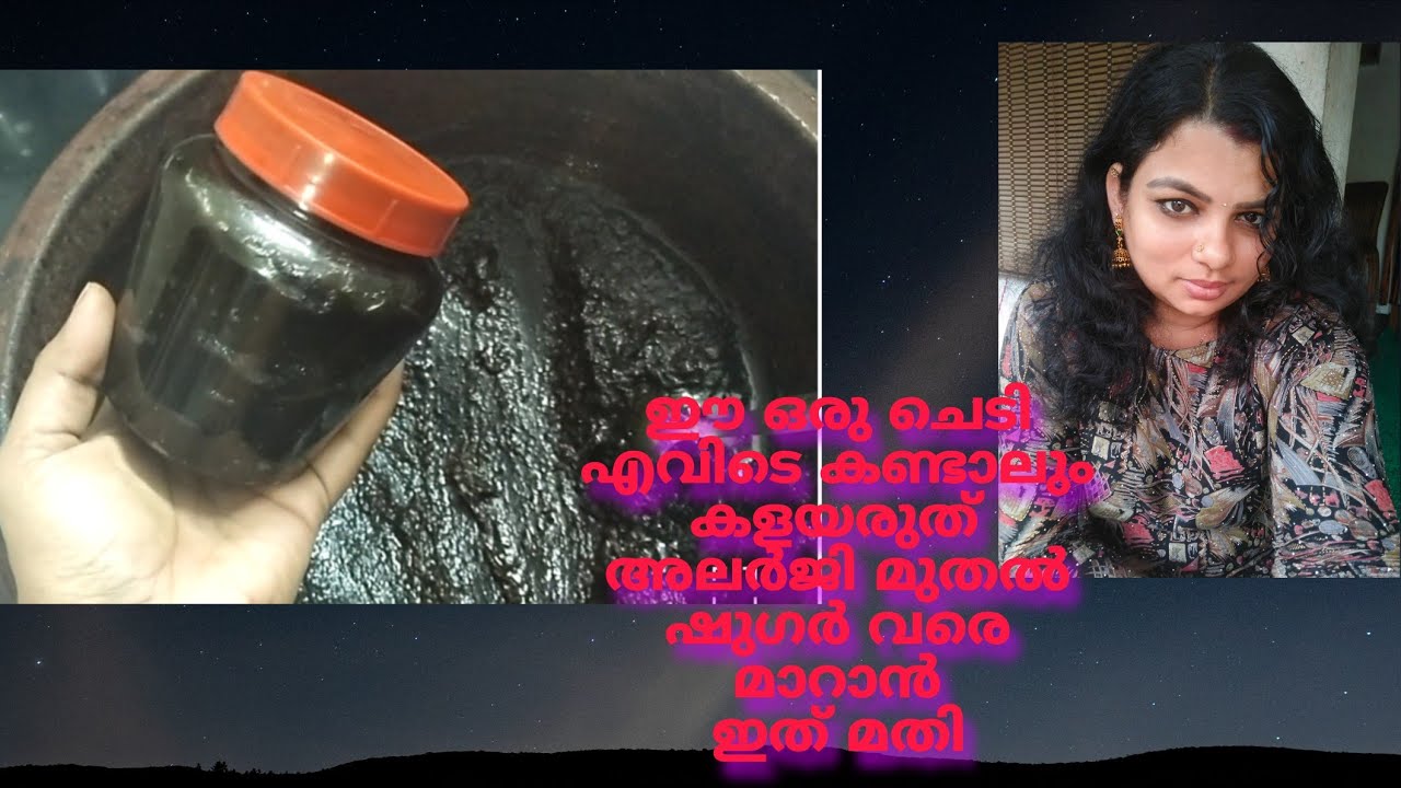 അലർജി മുതൽഷുഗർ വരെ കുറയാൻവീട്ടുമുറ്റത്തെ ഈ ചെടി മാത്രം മതി Btech mix media tips