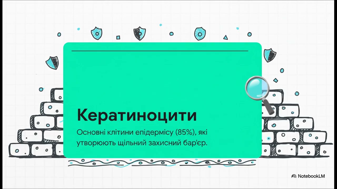 Біохімія шкіри  Ваш щит