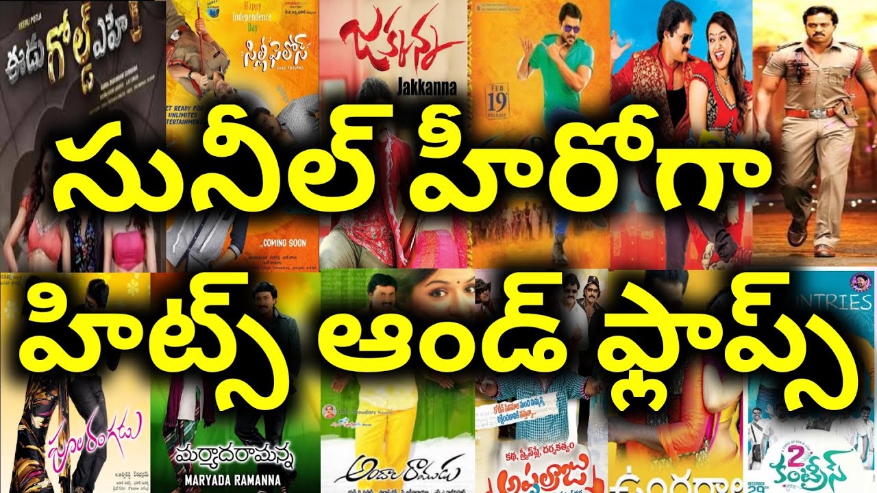 Sunil Hero in the Movies Hits and Flops All movies list upto Silly fellows