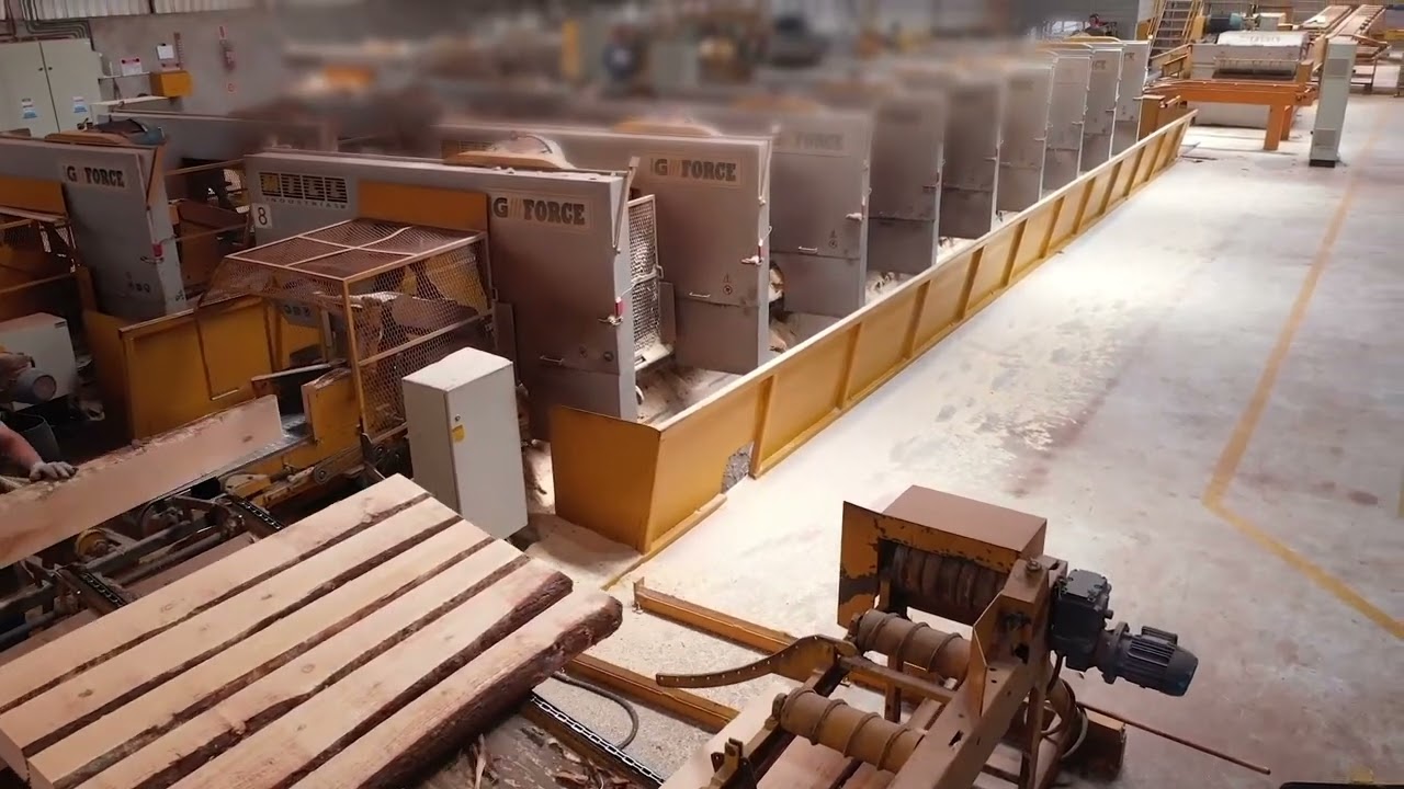 VEJA O MAQUIN&Aacute;RIO MILL EM A&Ccedil;&Atilde;O!! - SERRARIA TORA GROSSA -  MADEIREIRA MADESONDA