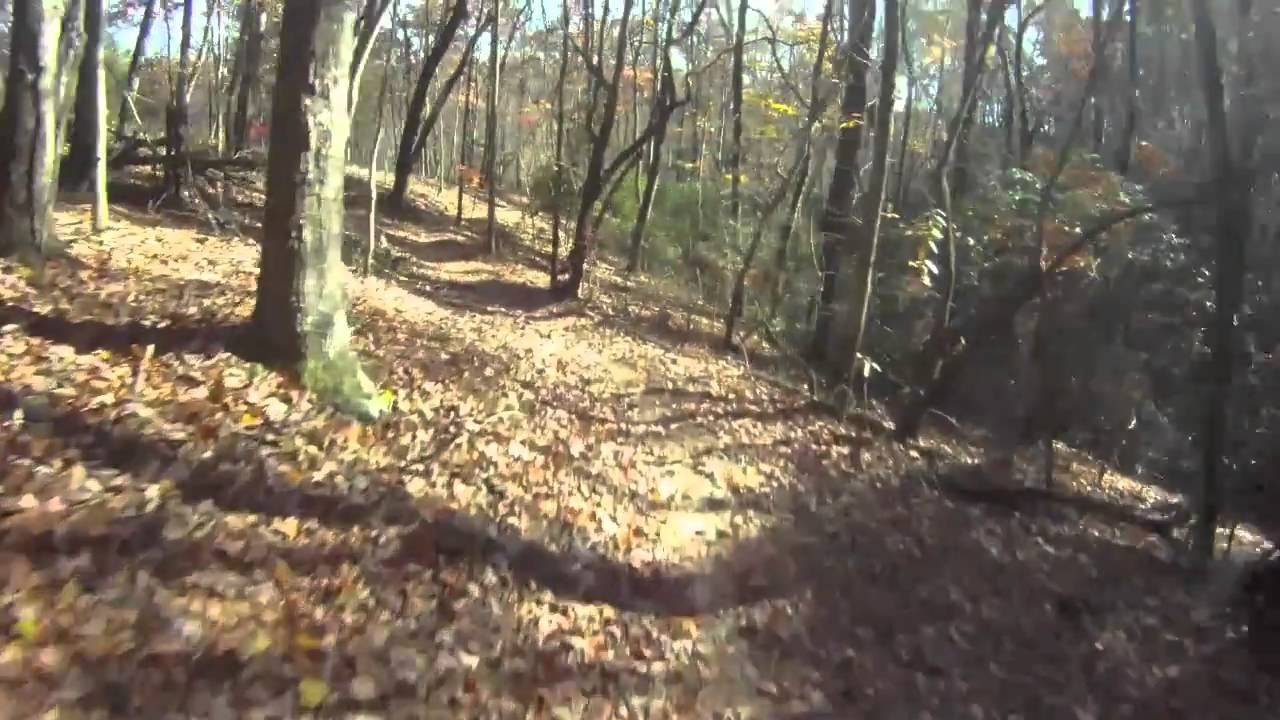 Chicopee Woods featuring Tortoise and Whitetail