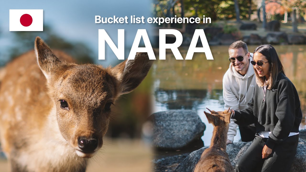 Attacked By Deer In Japan  ⚠️  (kinda) | Be Careful in Nara Park!