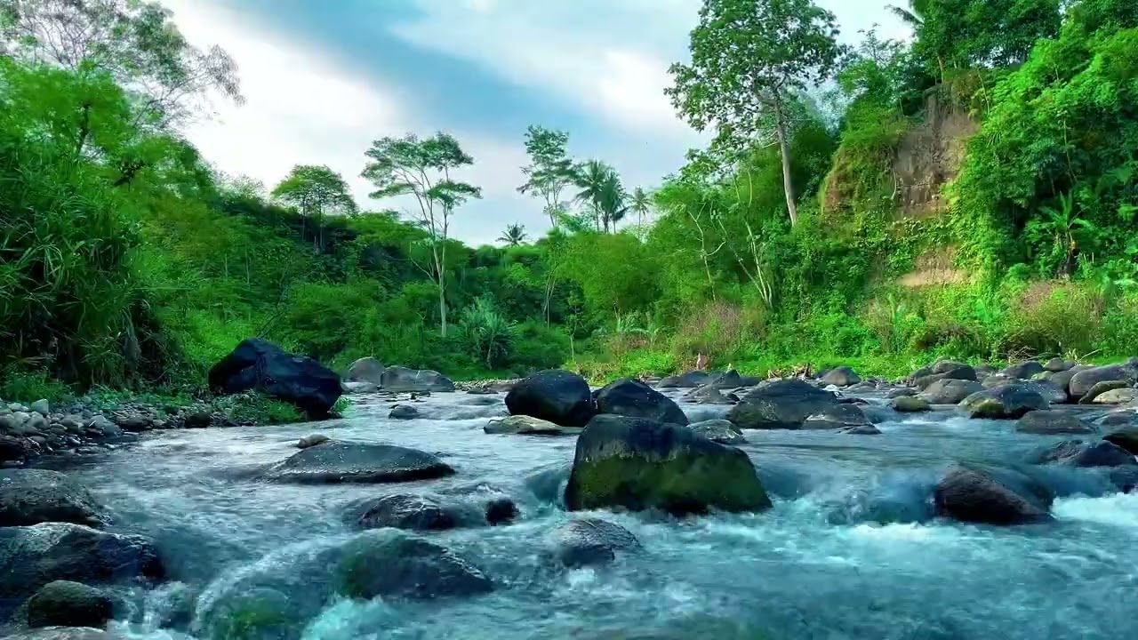 Water River ASMR - Relax, Meditate, Sleep or Focus | sleep - relax - enjoy life - ASMR