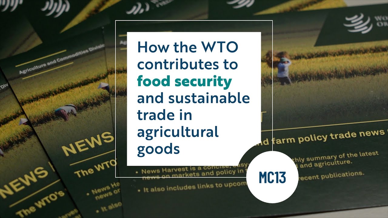 Road to MC13: Updates on food security and agriculture negotiations