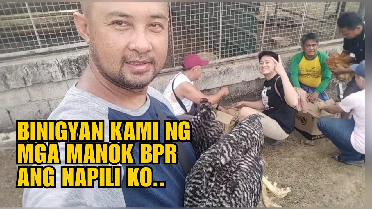 BINIGYAN KAMI NG MGA MANOK BPR ANG NAPILI KO..