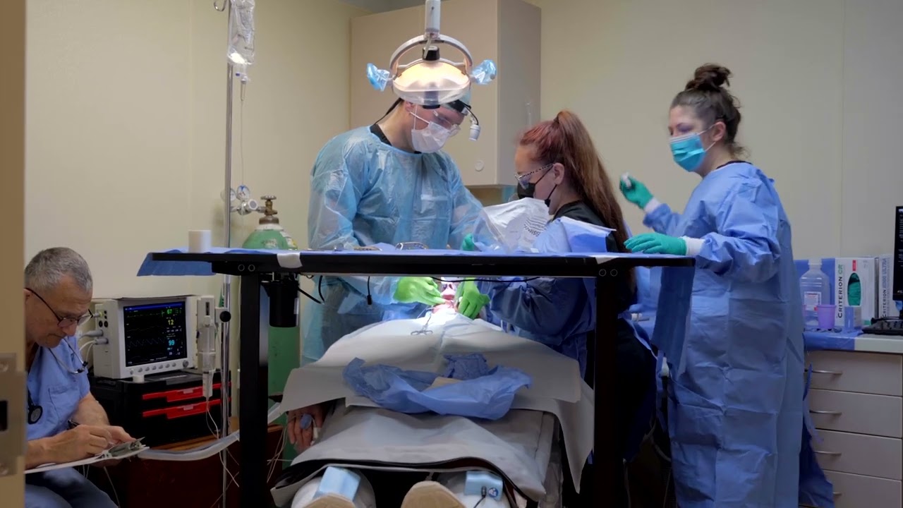 SmartArches™ Case Review with Dr. Theis