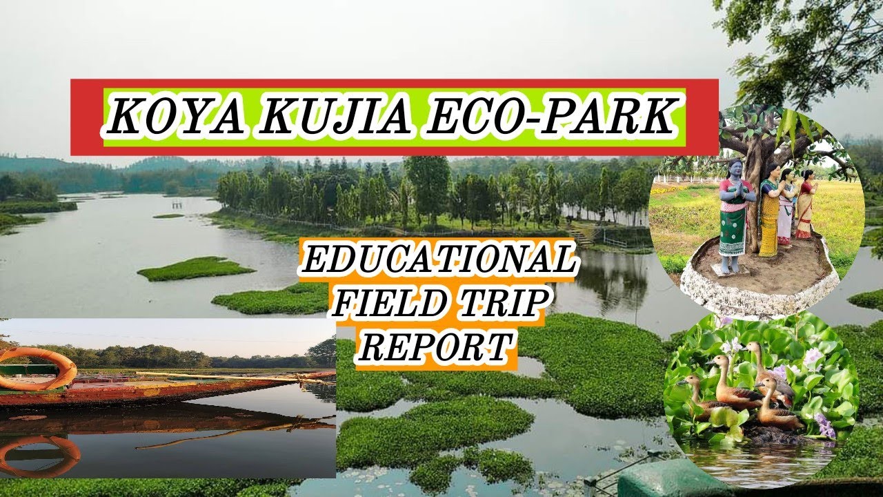 Koya Kujia Eco-park Bongaigaon|| Educational Field Trip|| Report Writing Environmental studies||