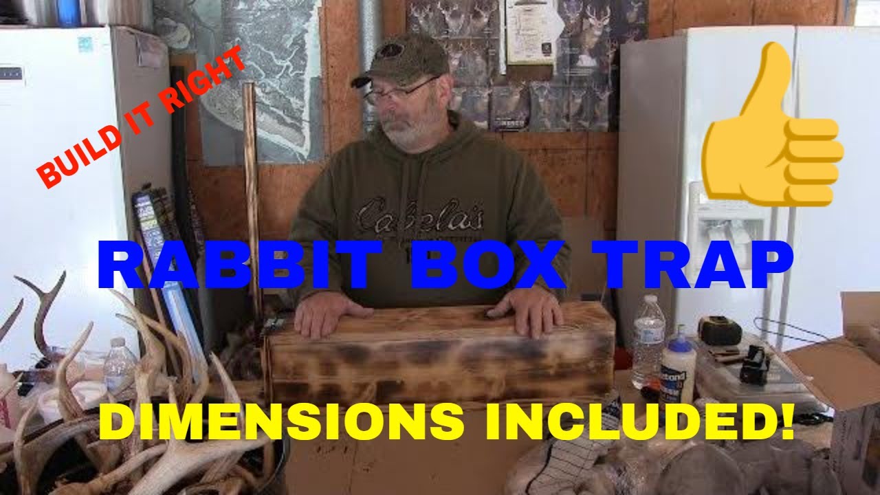 How to Trap Rabbits with live traps (Box Trap)