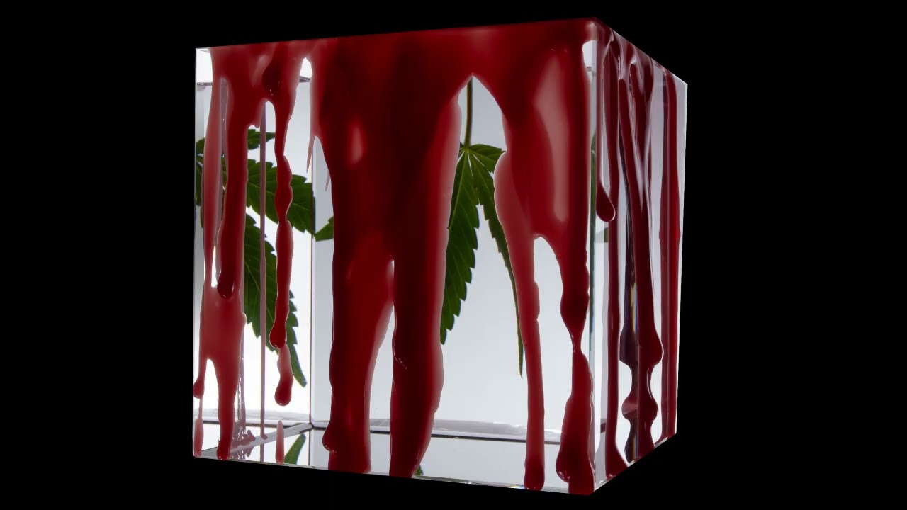 Abstract Marijuana Photography / Cannabis Wallpaper / Background ( No Sound )