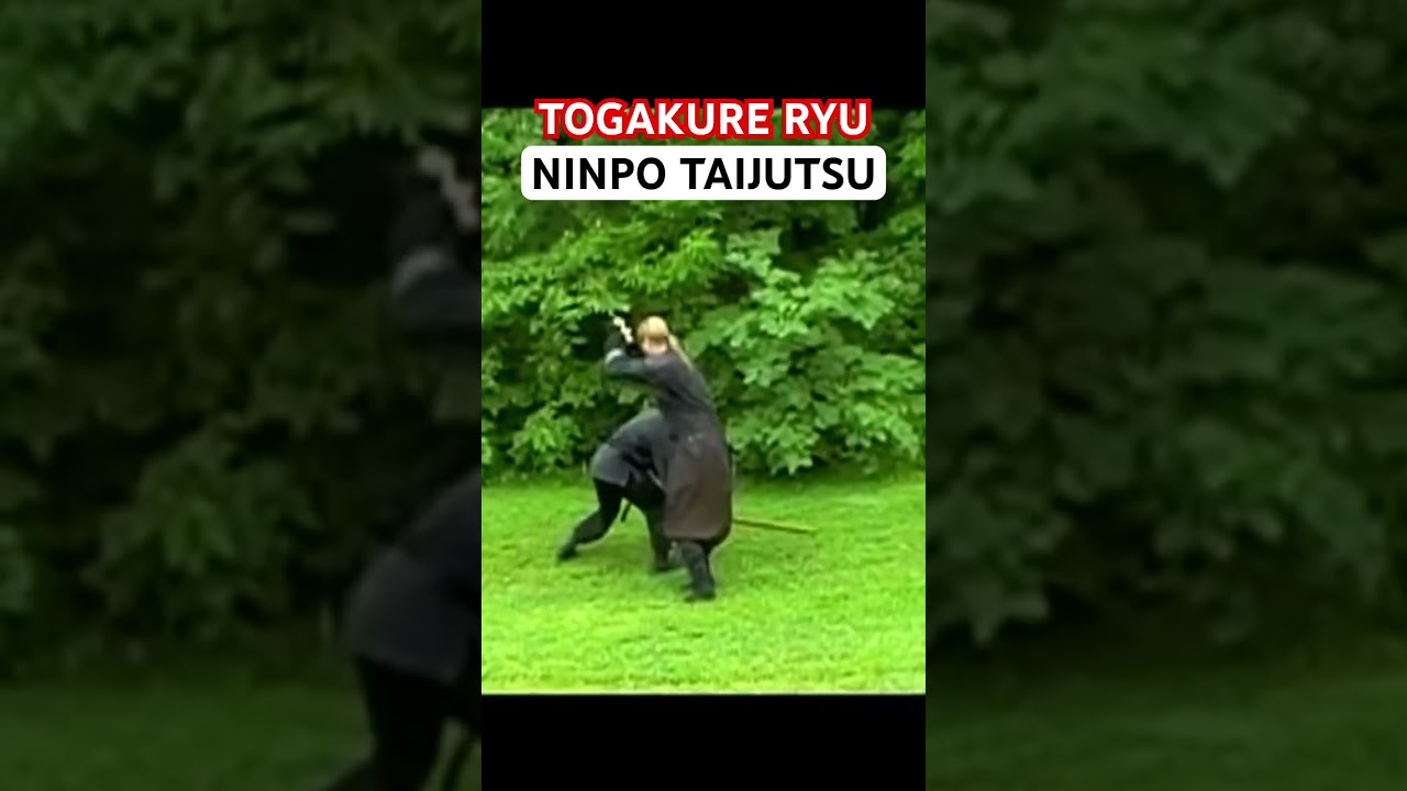TOGAKURE RYU NINPO TAIJUTSU 🥷🏻 #Shorts #Ninjutsu #MartialArts