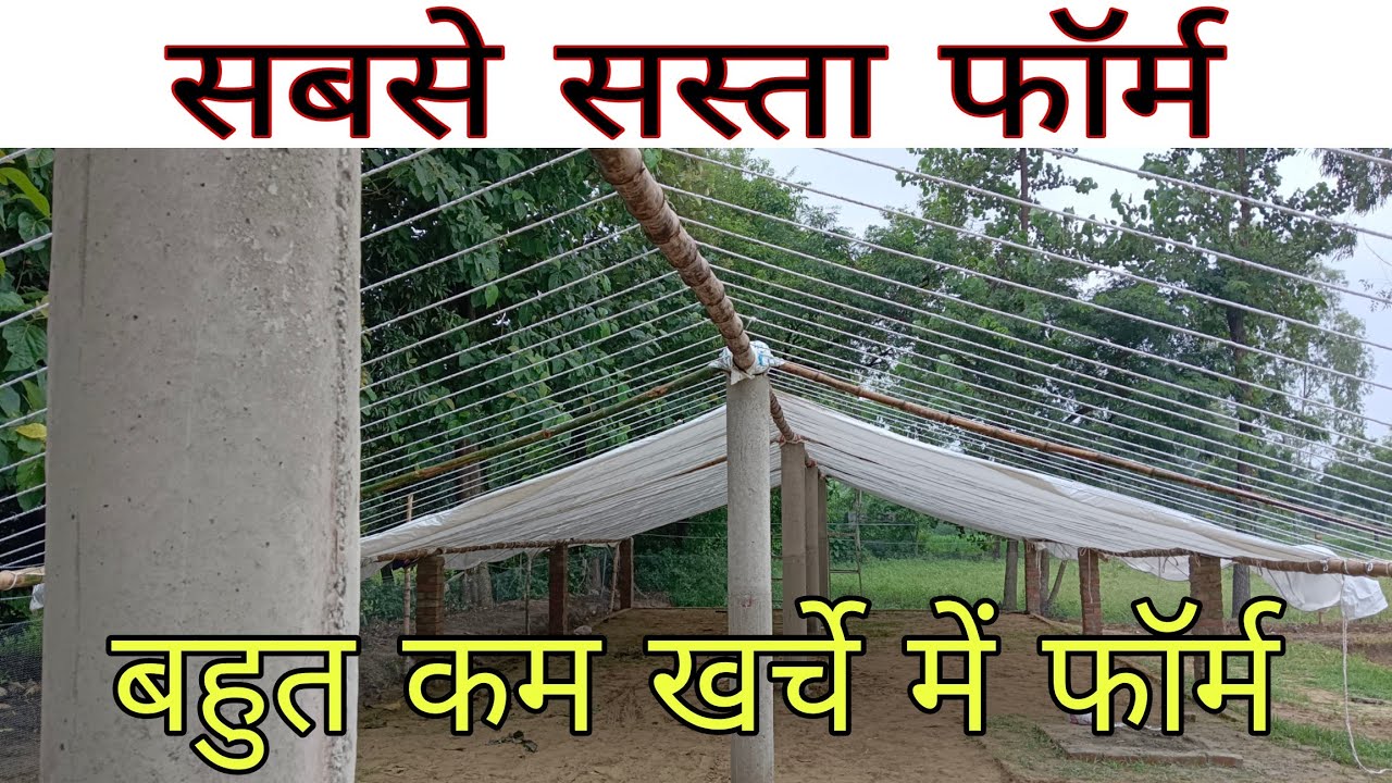 2000 Birds ka Shed , Sabse Sasta Shed / Duck Farm / 2000 Square feet ka shed #farming #duckfarming
