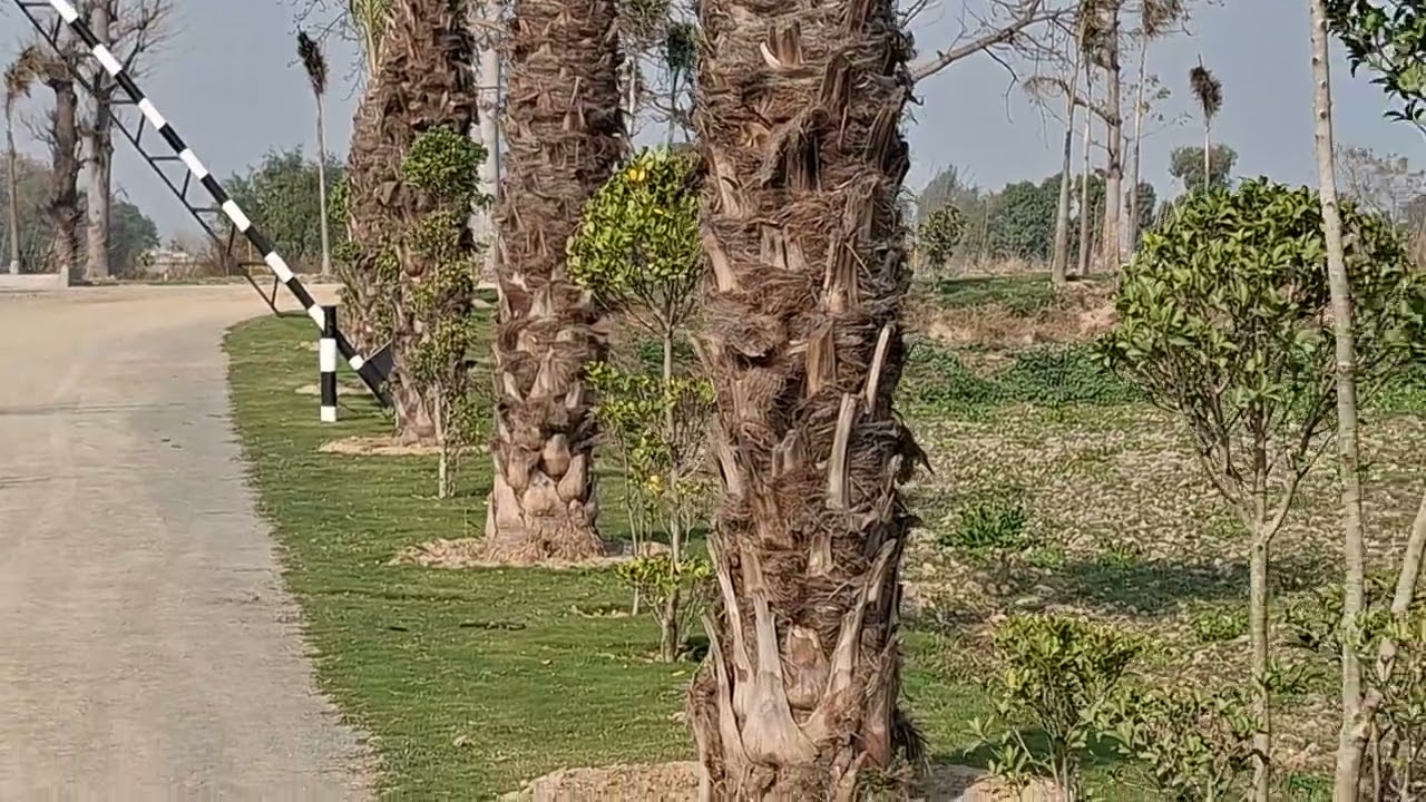 Luxury Farm House Society for sale 2 Kanal & 3.4.6.8.kanal 30 month permanent plan UAN:03006572671