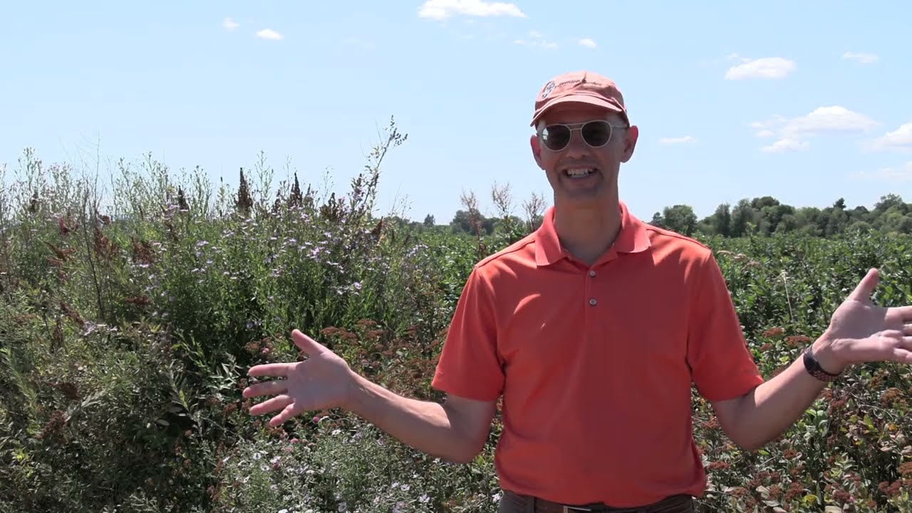 Hedgerows for Pollinators and Natural Pest Control