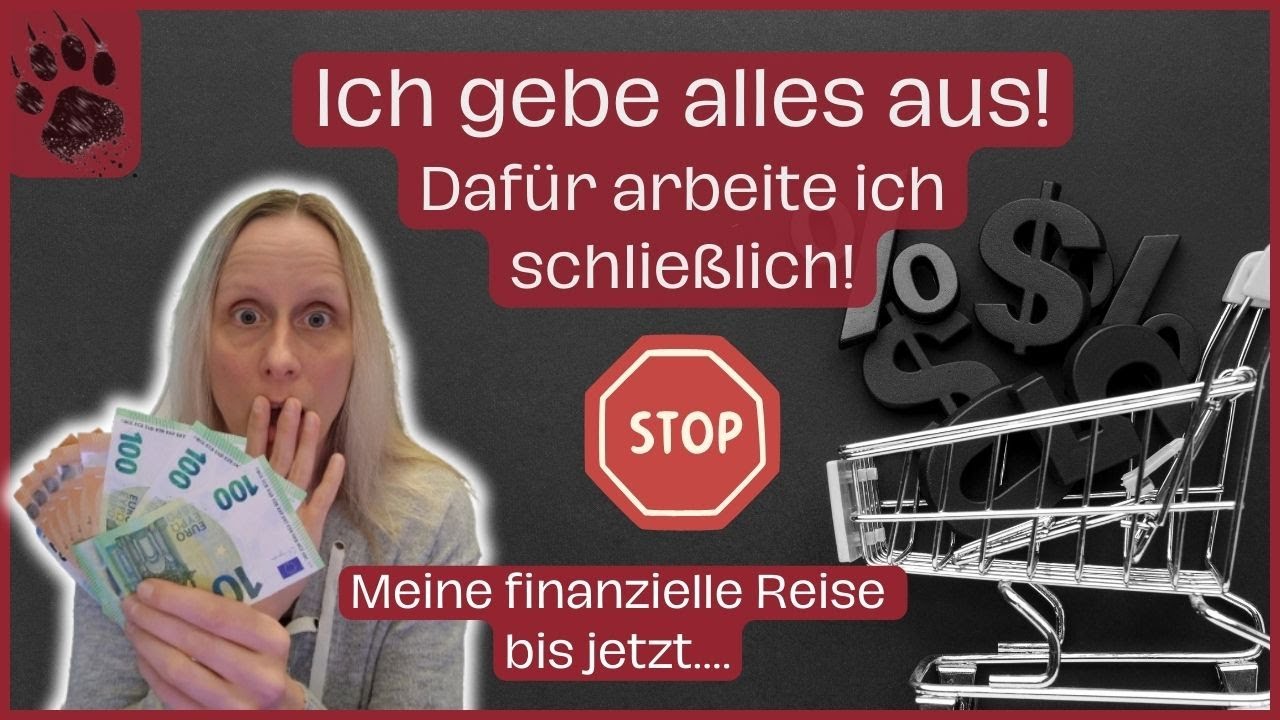 SPAREN mein finanzieller Weg 😨 echte Zahlen meine Gründe ALLES #vlog #umschlagmethode #budgetplanung