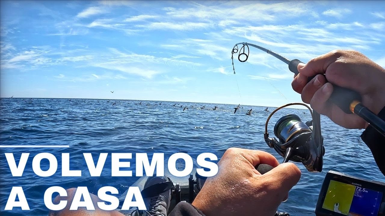 Jureleando en la Costa Brava  ¡Al límite pescando en kayak!