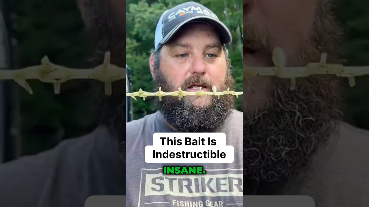 This Is Indestructible