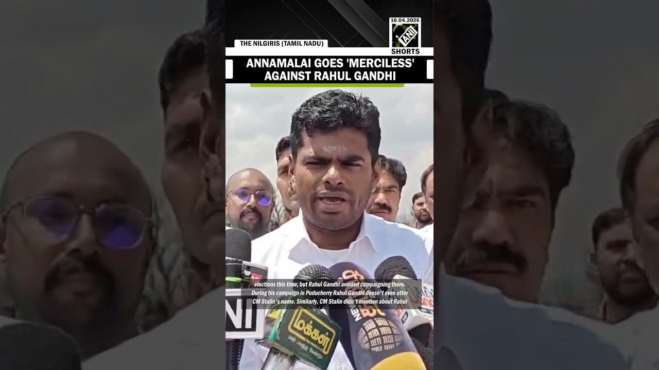 &lsquo;No unity&rsquo; BJP Leader Annamalai goes merciless against LoP Rahul Gandhi ahead of TN assembly polls