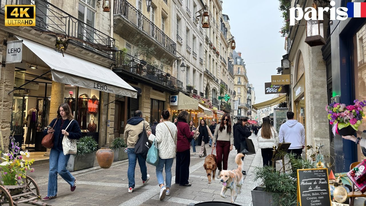 15 November 2025 PARIS 🇫🇷 FRANCE 4K HDR WALK  CITY WALK